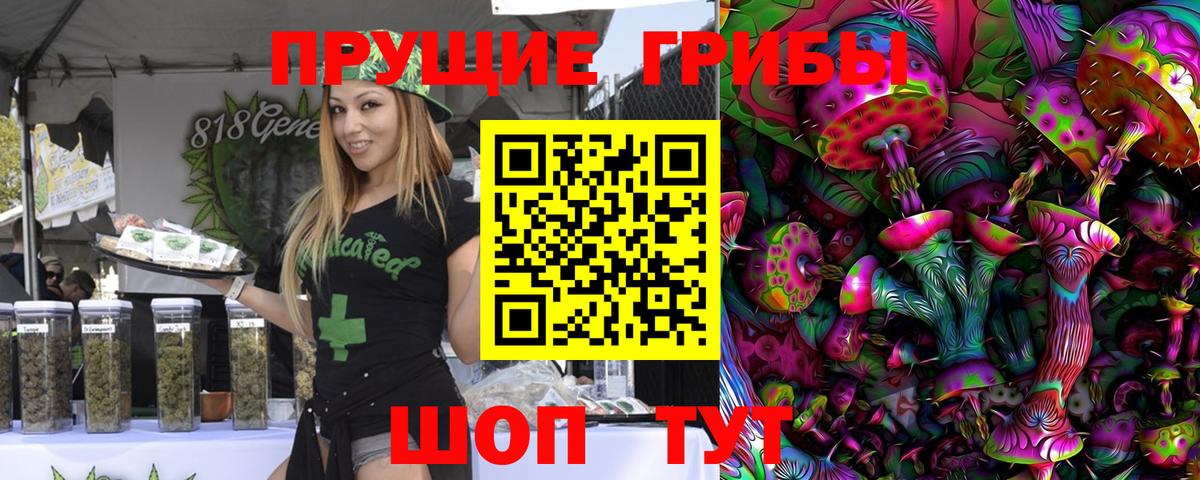 Сокол  Псилоцибиновые грибы Psilocybe  Галлюциногенные грибы прущие грибы  Вход с VPN 