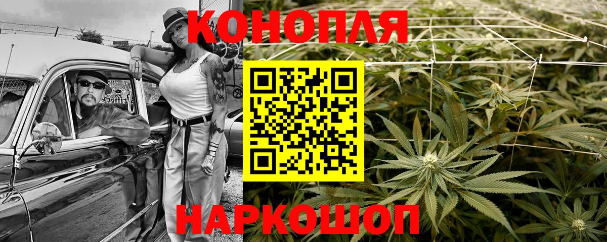 Каннабис MAZAR  Вход с VPN  Сокол  Конопля OG Kush  Шишки марихуана ГИДРОПОН 